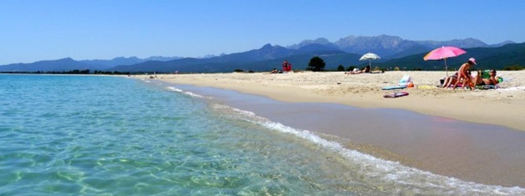 Appartement Vue Mer, Riviere Et Montagnes Sari-Solenzara Ngoại thất bức ảnh